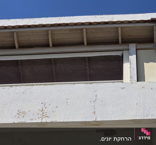 חזית בניין עם רשת למניעת יונים